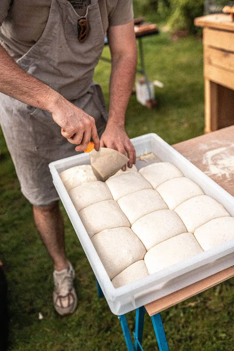 Verse deegbollen rijzen in een bak